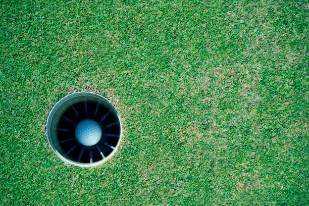 istock Golf ball in the hole 1733044260