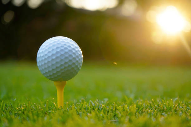 istock Golf ball on tee in beautiful golf course at sunset background. 1733049401