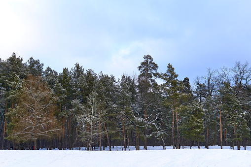 Winter is The coldest time of the year, following autumn.