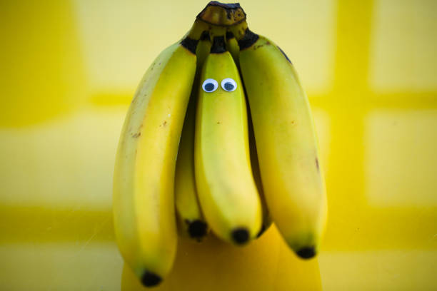 Bananas on a string, yellow background, funny bananas with eyes, Bananas on a string; yellow background; funny bananas with eyes; background; strange; fruit; food; nature; yellow; tropical; white; art; design; fresh; closeup; natural; healthy; organic; isolated; peel; creative; plant; color; health; agriculture; surreal; vegetarian; fun; object; summer; sweet; ripe; colorful; beautiful; crazy; trendy; nutrition; diet; concept; copy space; cute; raw; fashion; funny