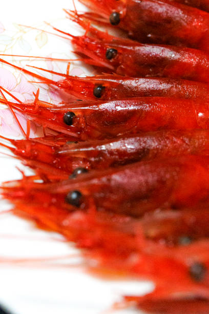 Close-up of a wild Taiwanese hokkai shrimp