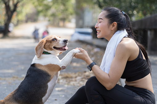 Asian woman playing with pet dog in the park. Asian woman having fun her dog outdoor