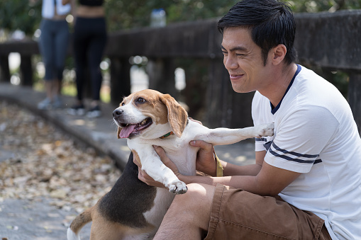 Asian man playing with pet dog in the park. Asian man having fun his dog outdoor