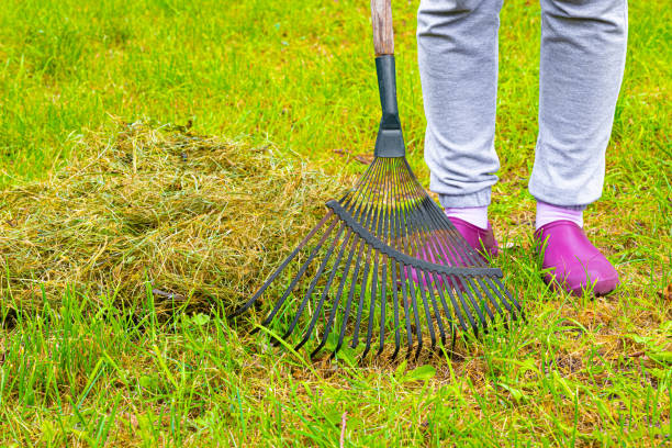 istock gardener collecting dry grass with a rake. 1733096236