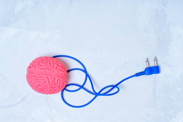 cerebro humano rosa con un cable de alimentación conectado - brain network connection plug intelligence artificial model fotografías e imágenes de stock
