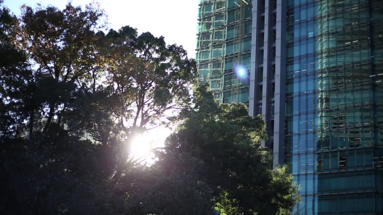 An office building where sunlight shines through the green trees.