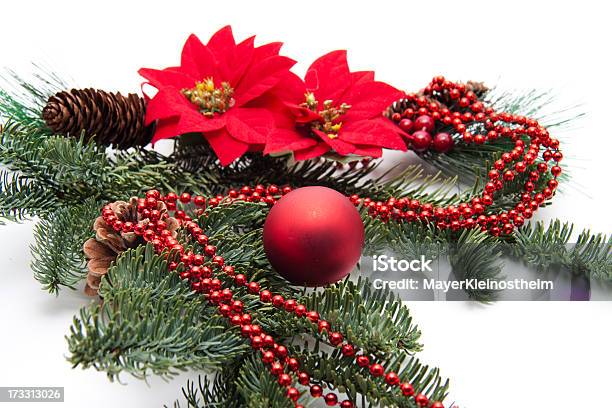 Marco Con Flor De Nochebuena Y Cadena Foto de stock y más banco de imágenes de Adviento - Adviento, Cabeza de flor, Cadena - Objeto fabricado