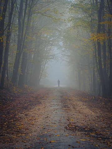 Silhouette of a lonely person man on a foggy autumn forest road colorful leaves and trees