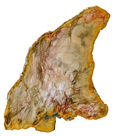 Cross section of a multicolored mineral isolated in white back