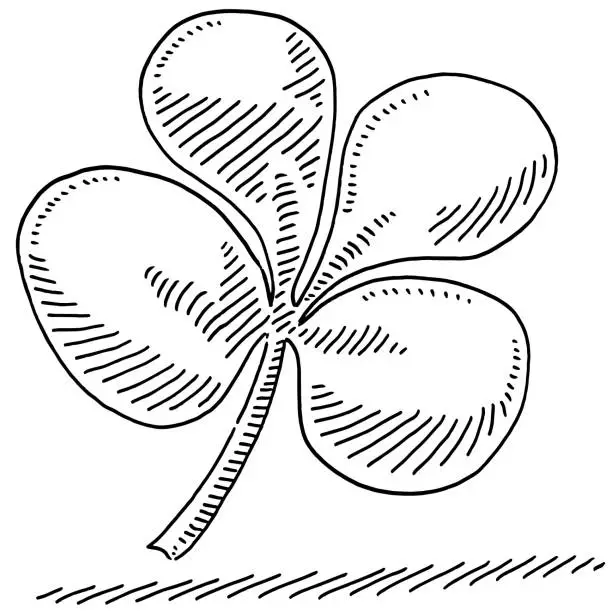 Vector illustration of Four Leaf Clover Luck Symbol Drawing