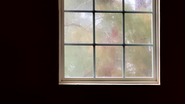 Rainy day view through house window