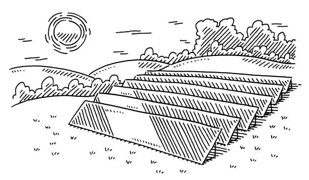 Vector illustration of Solar Panel Field Renewable Energy Drawing