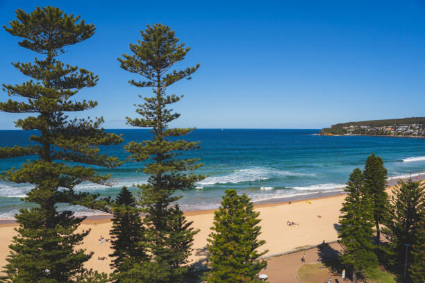 istock Sunset at Manly Beach Sydney Australia 1733142898