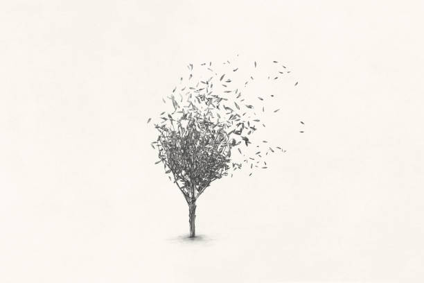 dedaunan pohon musim gugur surealis, konsep hitam dan putih minimal - time life ilustrasi stok