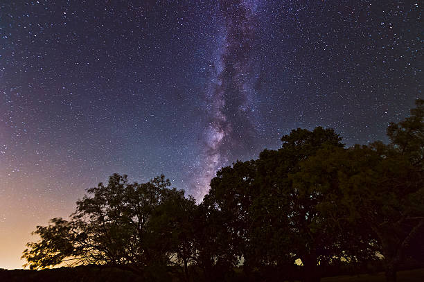 Milky Way over Trees stock photo