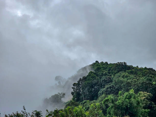 istock View of the forest mountains and cloud 1733180477
