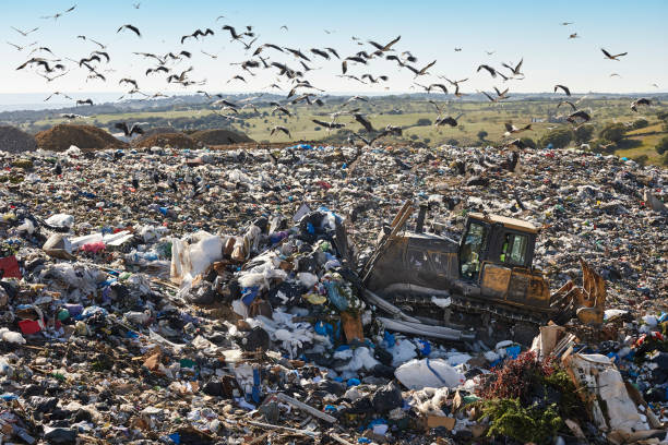 istock Heavy machinery shredding garbage in an open air landfill. Pollution 1733236290