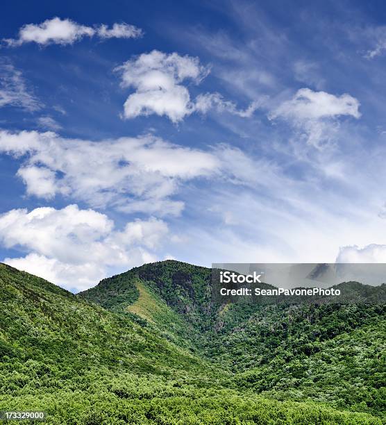 Smoky Montagne - Fotografie stock e altre immagini di Grandi Montagne Fumose - Grandi Montagne Fumose, Parco Nazionale Great Smoky Mountains, Albero