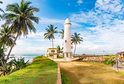 A white lighthouse in Galle fort with a blue sky and palm trees in the background. The lighthouse is cylindrical in shape with a dome on top. It is made of white stone or concrete and has a small window near the top. The sky is blue with white clouds. There are two palm trees in the background, one on the left and one on the right. There is a small building on the left side of the lighthouse. There are pink flowers in the foreground on the right side of the image.
