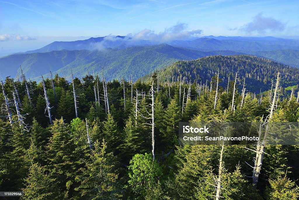 Smoky Mountains - 로열티 프리 개틀린버그 스톡 사진