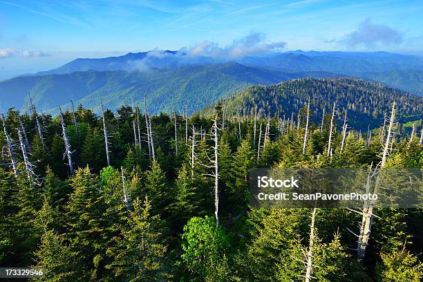 Smoky Mountains 개틀린버그에 대한 스톡 사진 및 기타 이미지 - 개틀린버그, 테네시, 0명