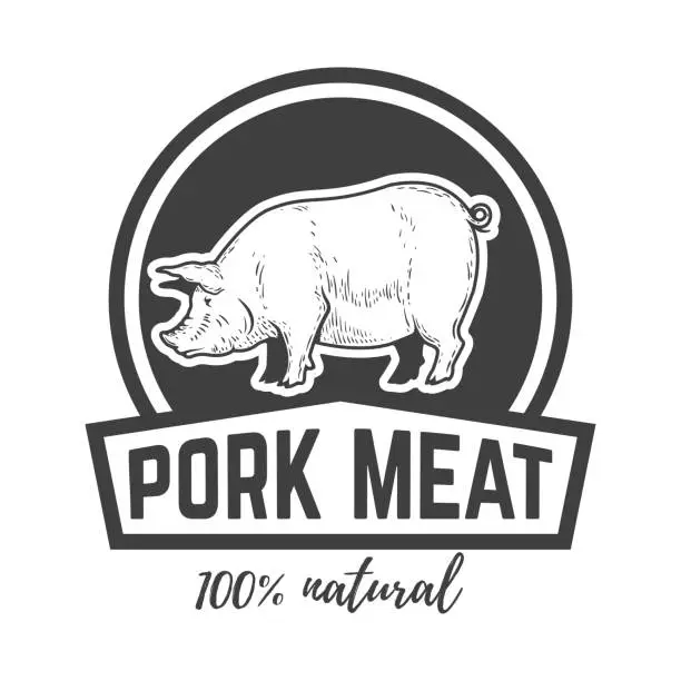Vector illustration of Farm fresh pork meat. Label template with pig meat