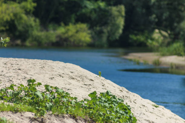 This captivating photo series showcases Ukraine's summer landscapes at their most vibrant and picturesque. From golden fields of wheat to crystal-clear lakes and lush forests, it highlights the country's diverse natural beauty. Immerse yourself in the rich tapestry of colors and serene landscapes that define Ukraine's summer season.