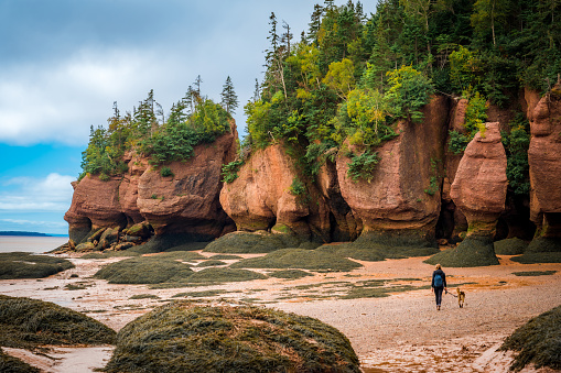 Woman walking her dog at low tide, Hopewell Rocks Provincial Park, Bay of Fundy, Hopewell Cape, New Brunswick, Canada. Photo taken in September 2023.