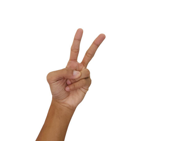 istock Man hand showing Victory sign isolated on white background 1733348902