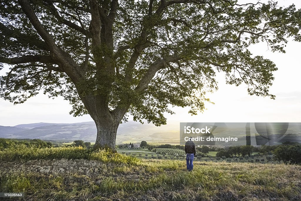 Uomo e Albero solitario - Foto stock royalty-free di Adulto