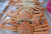 korean crab