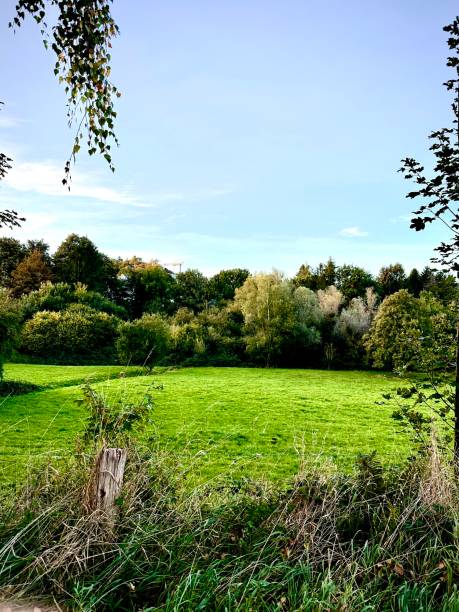 istock Somewhere in nature in Germany 1733375819