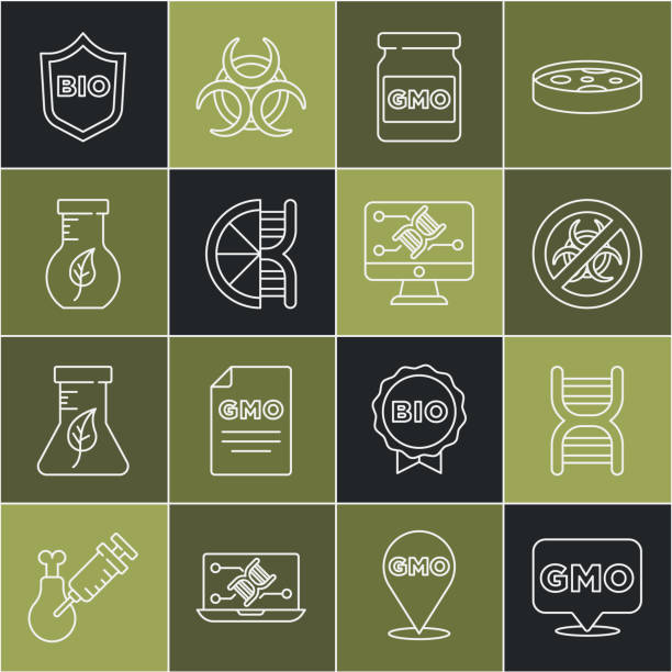 istock Set line GMO, DNA symbol, Stop, Genetically modified orange, Test tube and flask, Shield for bio healthy food and engineering modification icon. Vector 1733394871
