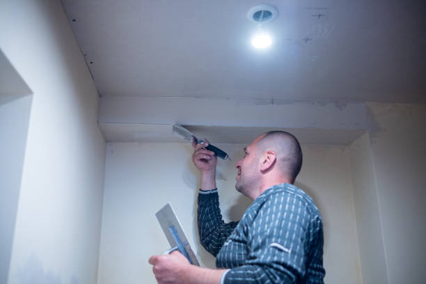 istock A man putty around the electric light. 1733431283