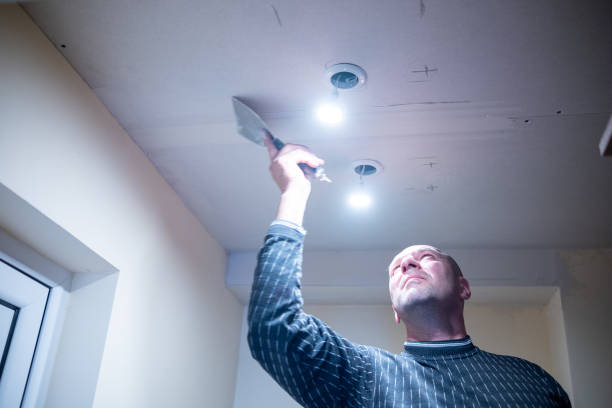 istock A man putty around the electric light. 1733431305