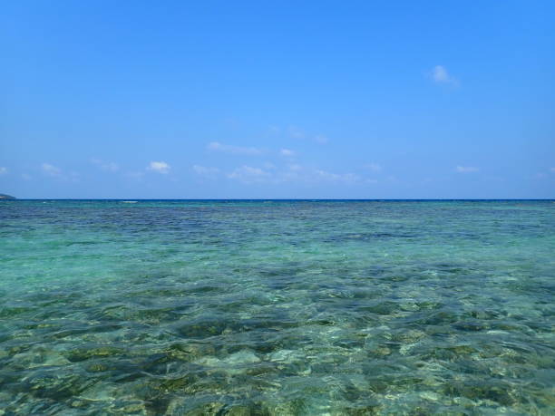 istock Pancuran Beach in Karimun Jawa 1733436813