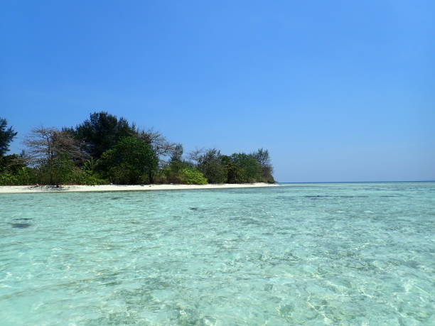 istock Karimun Jawa in Indonesia 1733466819