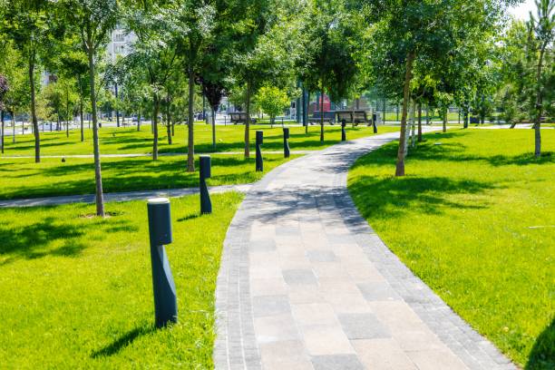 istock Background landscape with a path in the park in spring or summer with a lawn for a walk 1733505385