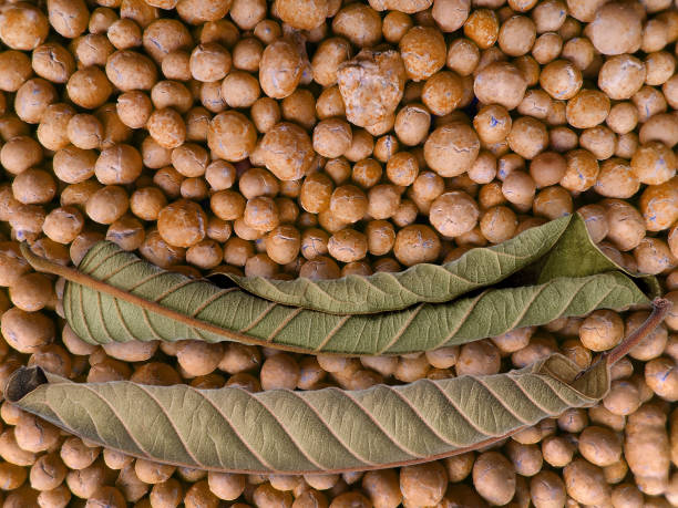 istock withered leaves on fertilizer powder 1733515771