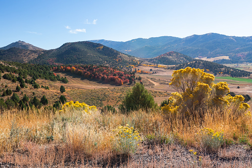 Beautiful landscape of the picturesque hills covered in autumn colors, Idaho, USA