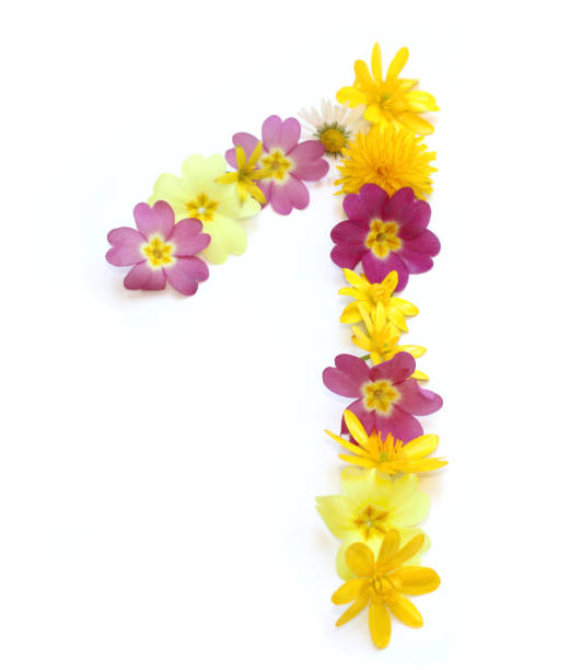 istock 1 number one made from yellow and pink flowers 1733551029