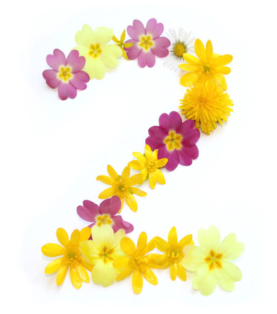 istock number 2 two made from yellow and pink flowers 1733551032