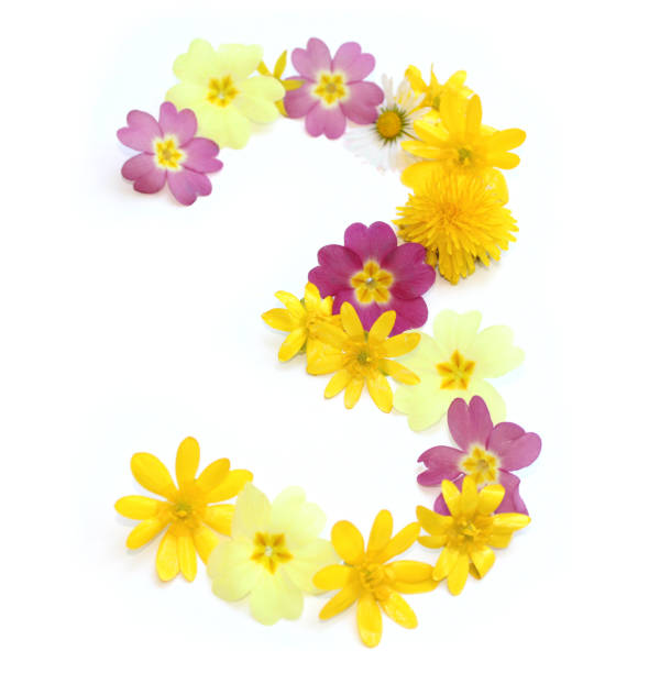 istock number 3 three made from yellow and pink flowers 1733551034
