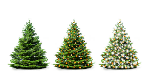 istock Festively decorated Christmas trees with fairy lights 1733558201