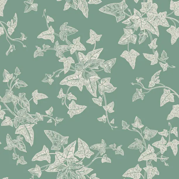 Vector illustration of Seamless pattern with ivy