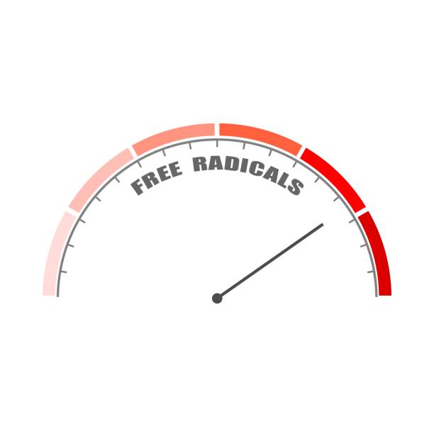 istock Free radicals value measuring device with arrow and scale. Free radicals cause oxidation of the cellular membrane proteins and lipids, and damage of the cellular components. 1733578581