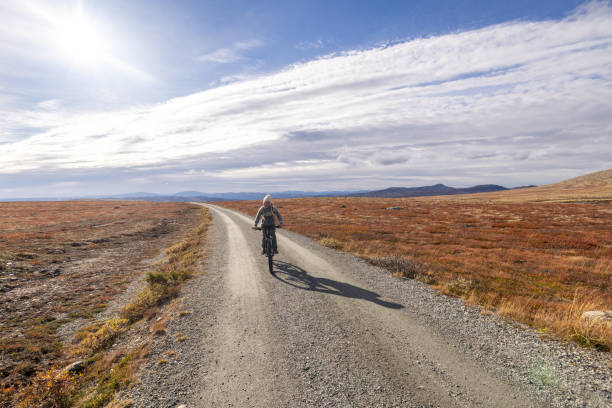 istock Woman mountain biking in Norway 1733581813