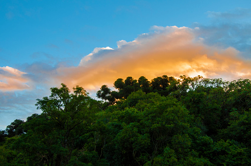 Sunset in the forest with cloud and sky background, Brazil
