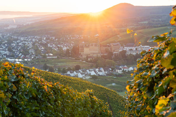 istock Ahr, Rhineland-Palatinate, Germany 1733601766
