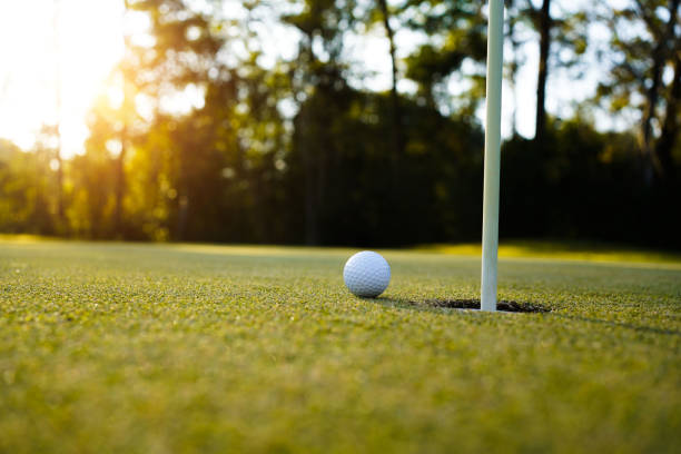 istock Golf ball on green grass in the evening golf course with sunshine background. 1733612604